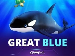 Great Blue thumbnail