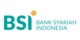 BSI Net partner logo